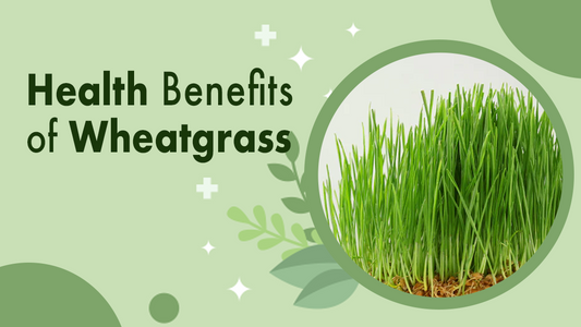 Health Benefits Of Wheatgrass